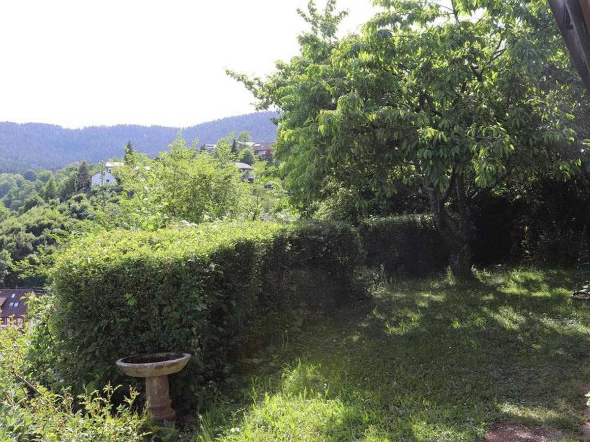 Haus Hoehneck 1 آلبيرسباخ المظهر الخارجي الصورة